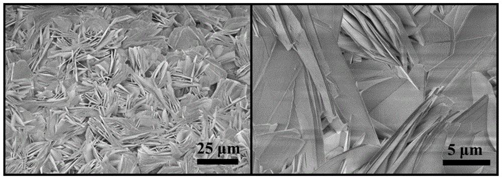 一種二維鎳鈷雙金屬MOFs納米片及其在葡萄糖檢測中應(yīng)用