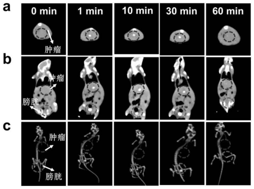 鉿摻雜熒光碳點(diǎn)及其制備方法與應(yīng)用