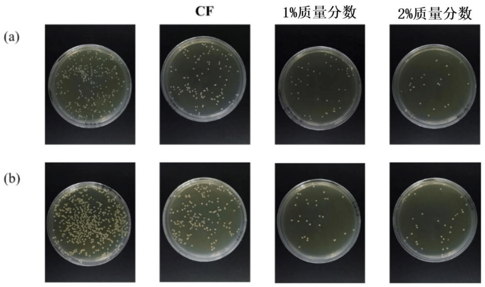 一種抗菌疏水纖維織物涂層及其制備方法與應(yīng)用