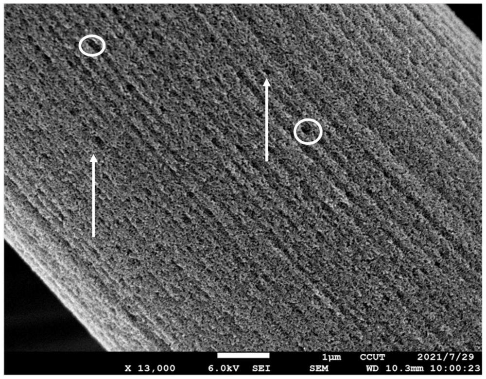一種氮摻雜多孔碳纖維及其制備方法、炭紙及其應(yīng)用