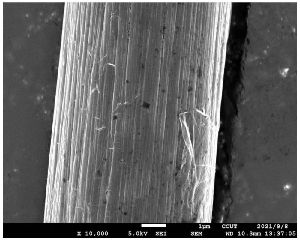 一種改性碳纖維及其制備方法和應(yīng)用以及改性碳纖維環(huán)氧樹脂復合材料