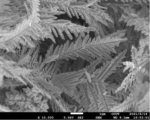 一種可以實現(xiàn)高效光熱轉(zhuǎn)換的針葉狀鎳黑膜