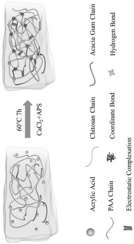 一種高形狀回復率水凝膠及其制備方法