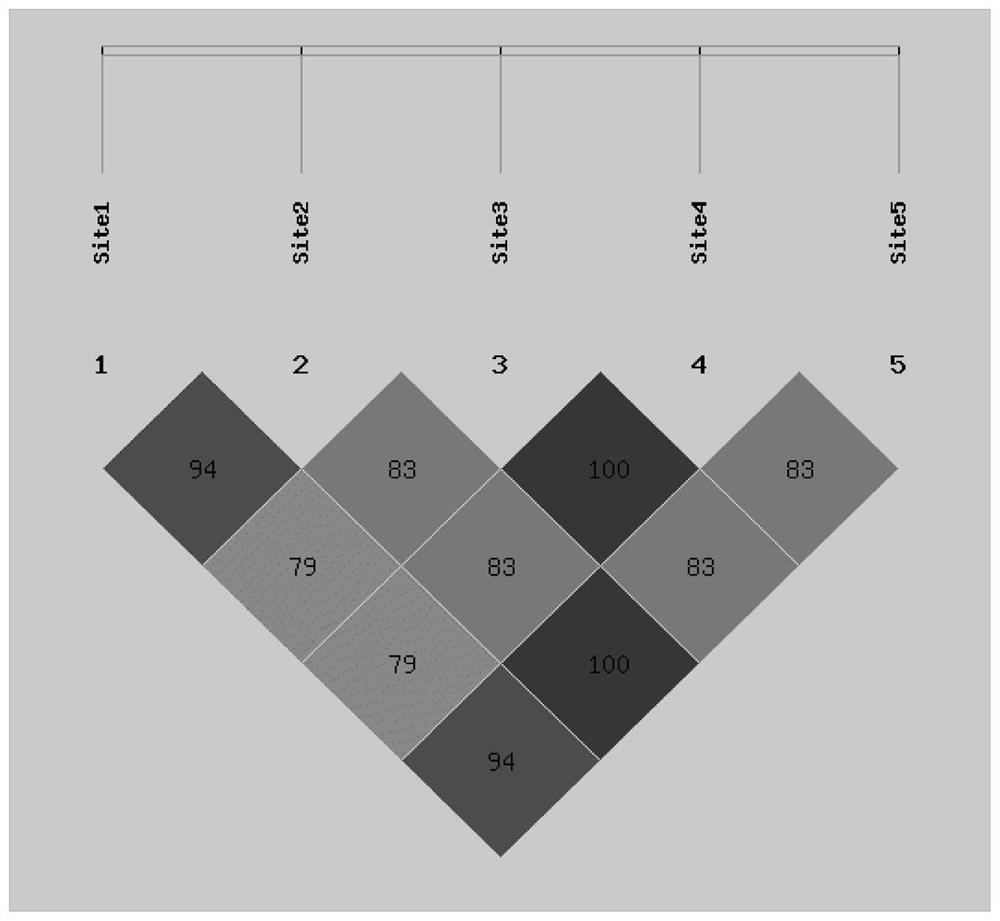 延邊黃牛肉質(zhì)相關(guān)的FABP4基因SNP分子標記、引物對、試劑盒及其應用